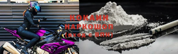 ALPHA PVP Гусев