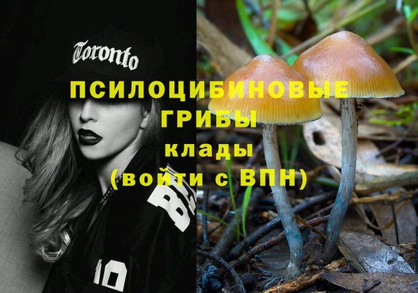 Альфа ПВП Гусь-Хрустальный