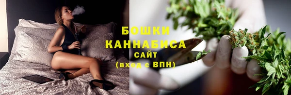 Альфа ПВП Гусь-Хрустальный