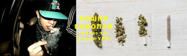 Альфа ПВП Гусь-Хрустальный