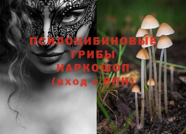 ALPHA PVP Гусев