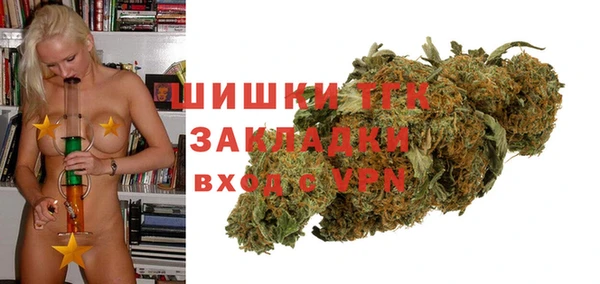 ALPHA PVP Гусев