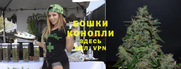 ALPHA PVP Гусев