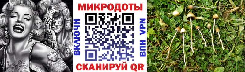 MEGA рабочий сайт  как найти закладки  Северск  Псилоцибиновые грибы мухоморы 